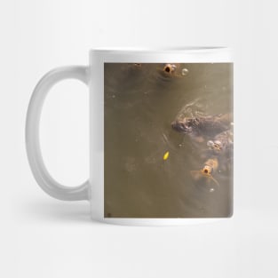 Catfish Mug